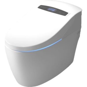 WC japonais monobloc TopToilet