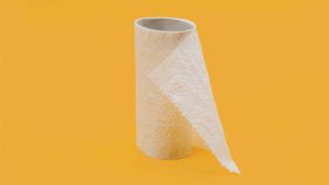 5 bonnes raisons d’arrêter le papier toilette et comment s’en passer